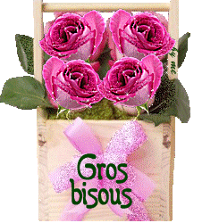 gros bisous roses